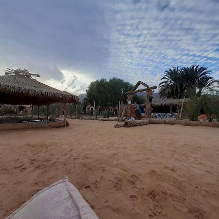 Bed and Breakfast Sababa Beach Camp Нувейба Экстерьер фото