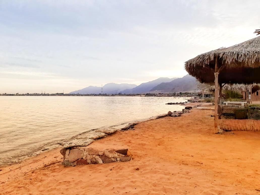 Bed and Breakfast Sababa Beach Camp Нувейба Экстерьер фото